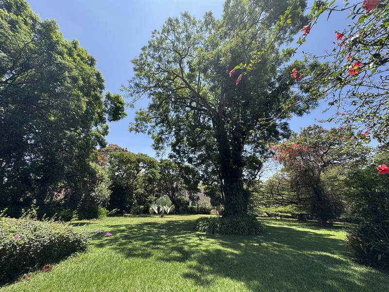 Serengeti Manor - Gallery 11